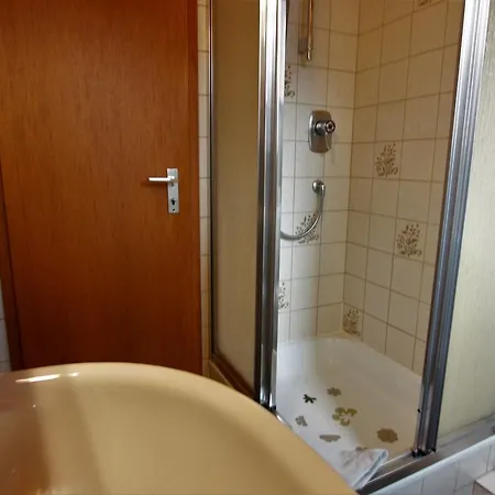 Gaestehaus Wissler 3* Тодтнау
