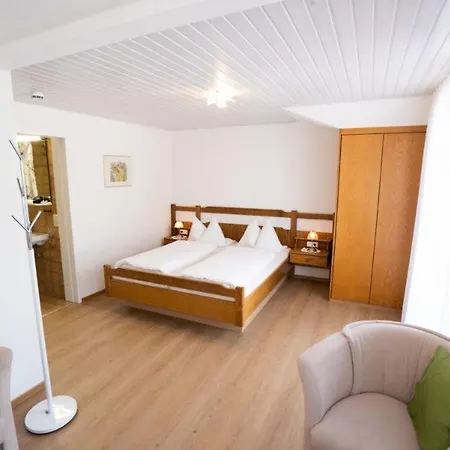 Guest house Gaestehaus Wissler 3*